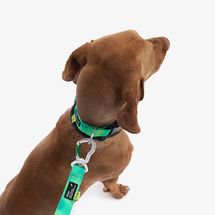 Ошейник STAYA X PEAK PLASTIC в интернет магазине Peakwww.peakstore.ru - 7 фото