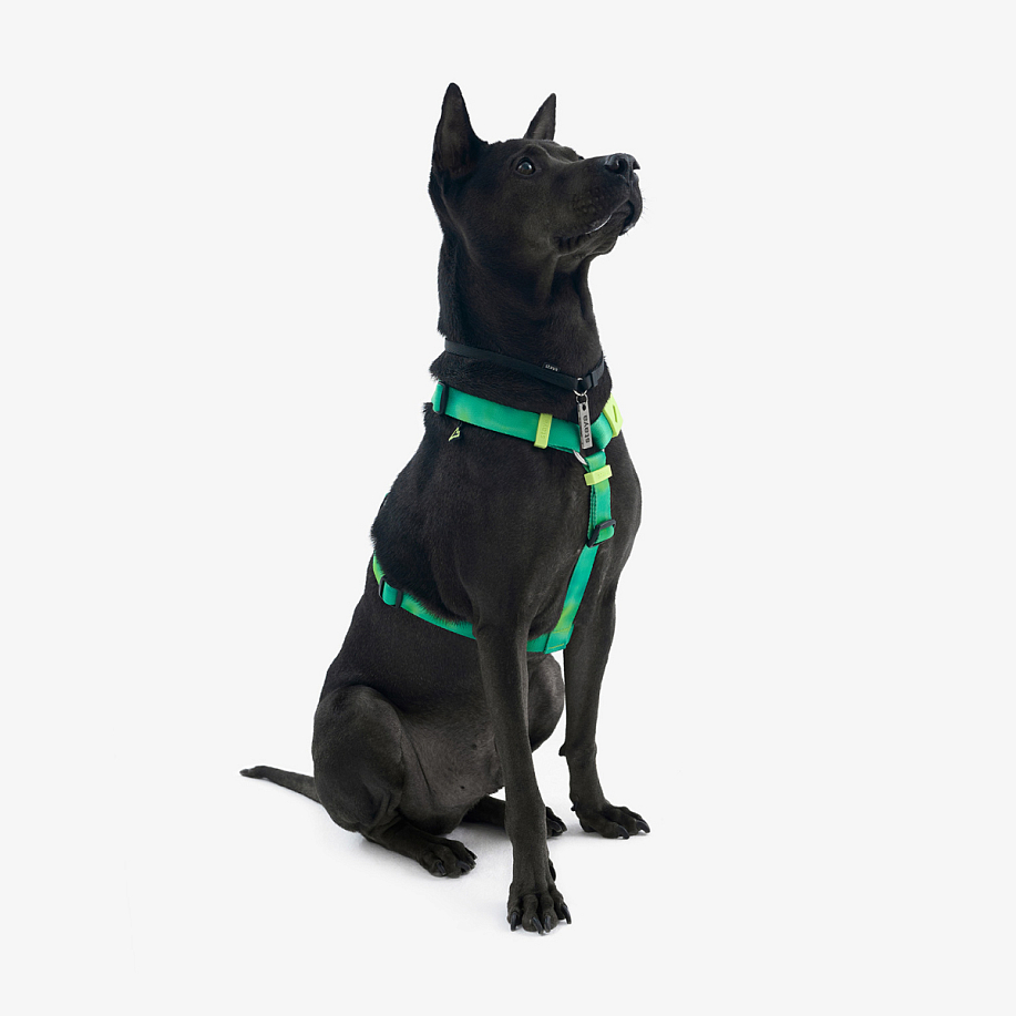 Шлейка STAYA X PEAK АНАТОМИЧЕСКАЯ PLASTIC в интернет магазине Peakwww.peakstore.ru - 5 фото