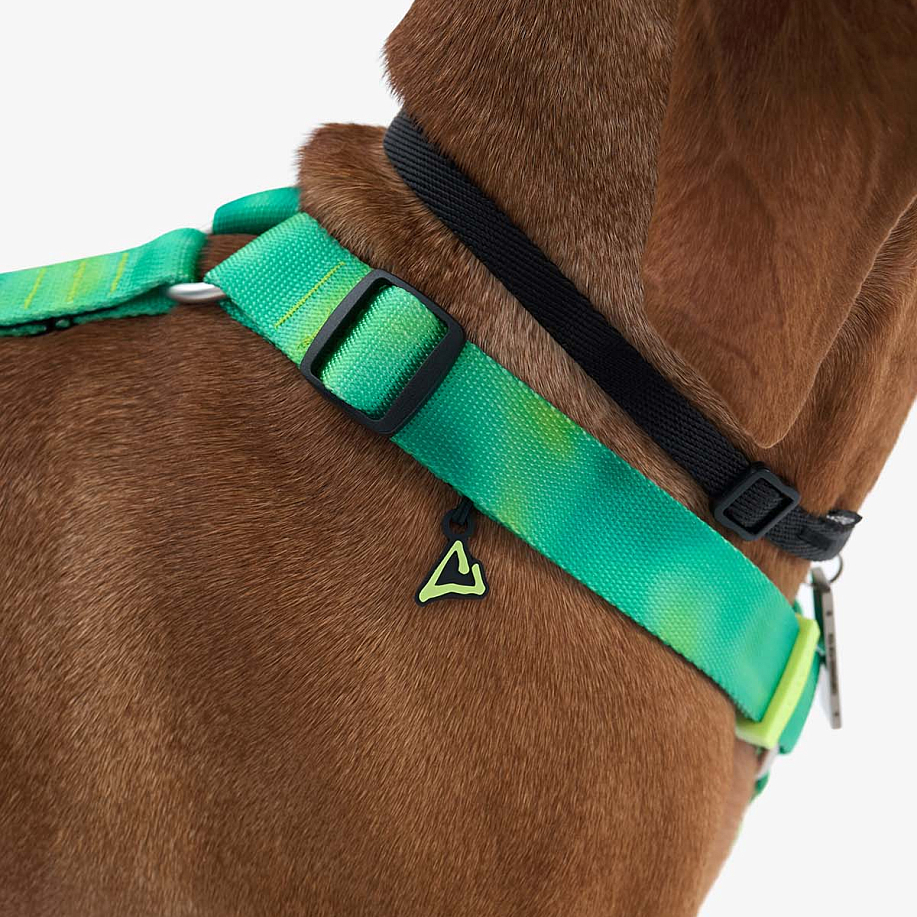 Шлейка STAYA X PEAK АНАТОМИЧЕСКАЯ PLASTIC в интернет магазине Peakwww.peakstore.ru - 6 фото