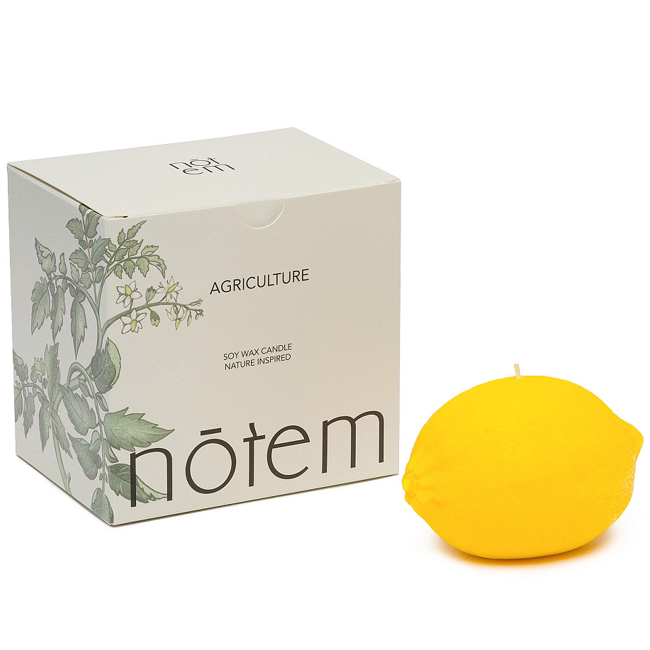 Свеча NOTEM ЛИМОН в интернет магазине Peakwww.peakstore.ru - 2 фото
