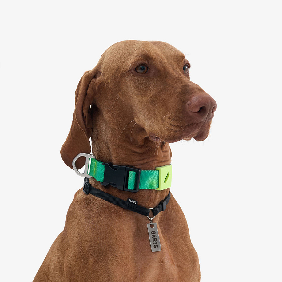 Ошейник STAYA X PEAK PLASTIC в интернет магазине Peakwww.peakstore.ru - 4 фото