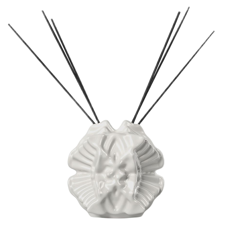 Диффузор FAKOSHIMA X 01001LAB OBJECT1 в интернет магазине Peakwww.peakstore.ru - 1 фото