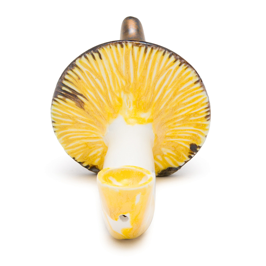 Аксессуар SMELLY TALE ГРИБ yellow_mashroom - 2 фото Аксессуар SMELLY TALE ГРИБ в интернет магазине Peakwww.peakstore.ru - 2 фото