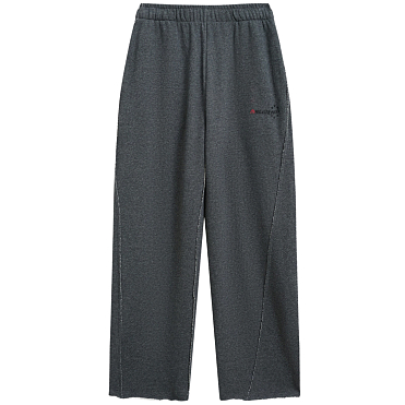 Спортивные брюки ARLIGENT 4309/05 FW26/27 