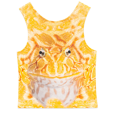 Майка Collina Strada CARDIO DACHI TOP FW25 