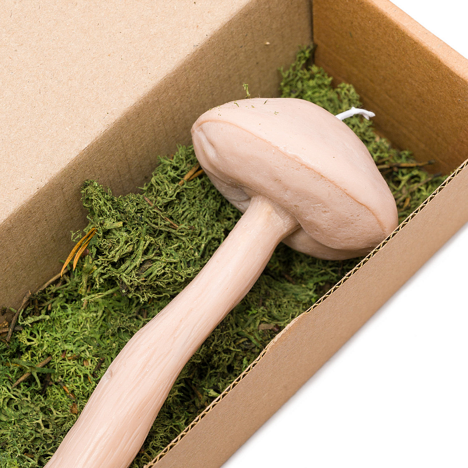 Свеча UNIFICATION LOVE ГРИБ ПОДБЕРЕЗОВИК в интернет магазине Peakwww.peakstore.ru - 3 фото