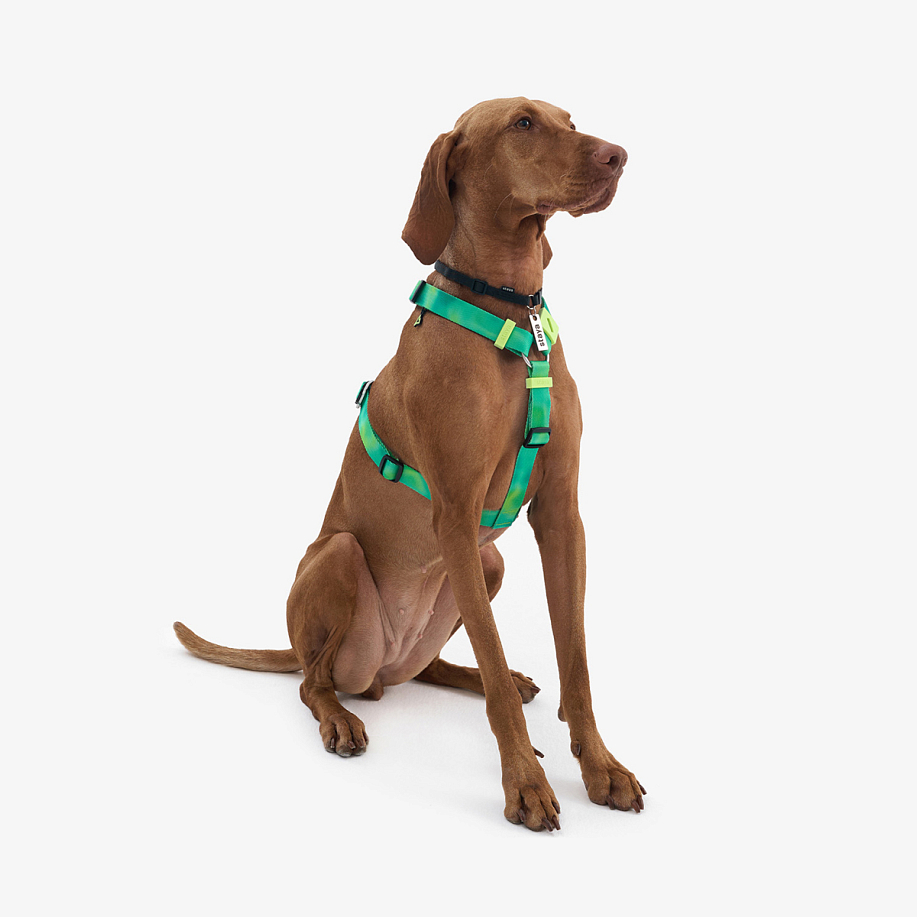 Шлейка STAYA X PEAK АНАТОМИЧЕСКАЯ PLASTIC в интернет магазине Peakwww.peakstore.ru - 4 фото