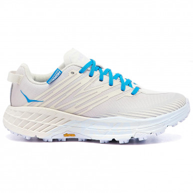 Кроссовки HOKA ONE ONE M HOKA X TINT SPEEDGOAT 4 в интернет магазине Peak